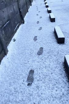 雪の足跡 雪の足跡 雪,足跡,積もるの写真素材