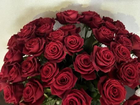 薔薇の花束 薔薇,バラ,ばらの写真素材