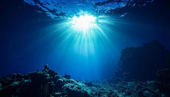 深海に輝く太陽光 深海に輝く太陽光の写真