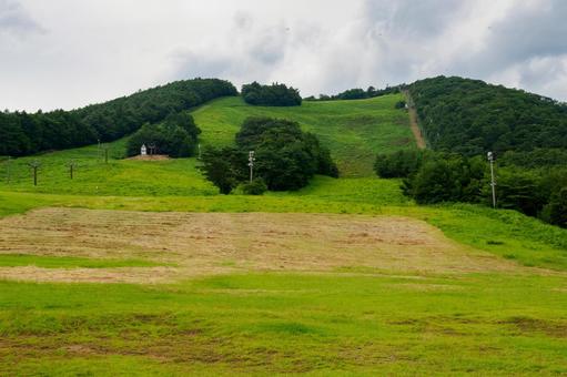 夏の泉ヶ岳スキー場⑵ 夏の泉ヶ岳スキー場⑵の写真