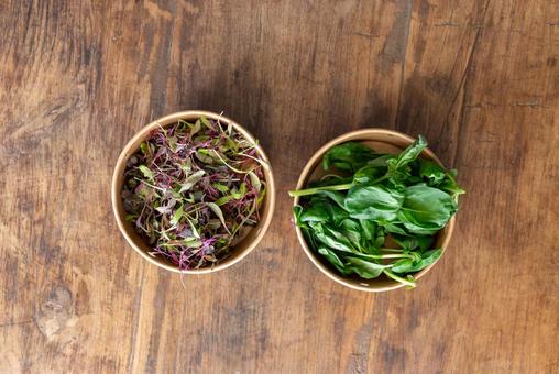 容器に入っているバジルや植物 マイクログリーン,芽,バジルの写真素材