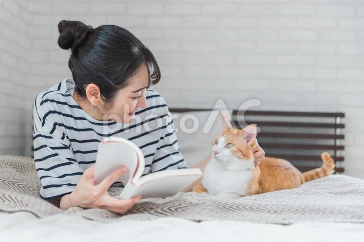 寝室でペットの猫と遊ぶ女性(読書) 猫,女性,読書の写真素材