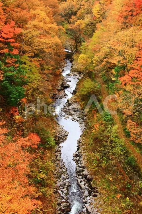 秋の滝のイメージ 滝,自然,旅の写真素材
