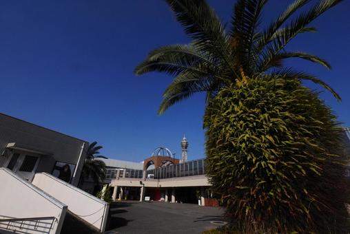 天王寺公園から見る通天閣 天王寺公園,通天閣,大阪市の写真素材