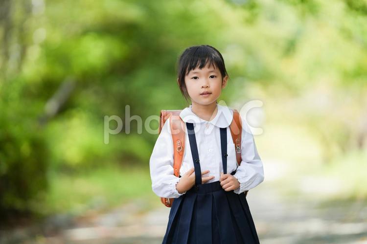 ランドセルと小学生の女の子 1年生,入学式,入学の写真素材