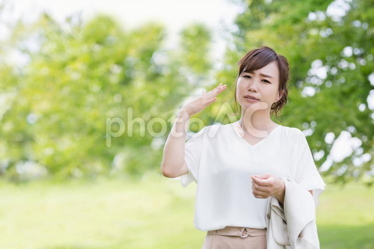 新緑の中の女性 新緑の中の女性 女性,手うちわ,暑いの写真素材