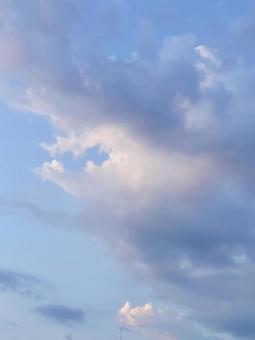 薄ピンク色の雲のある夕空 薄ピンク色の雲のある夕空の写真