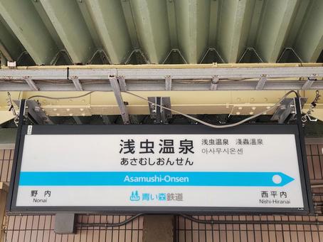 浅虫温泉駅 浅虫温泉駅の写真