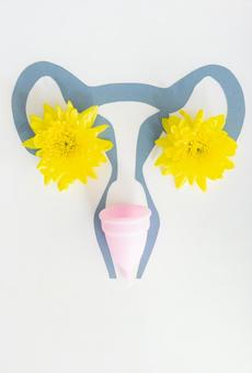 月経カップと紙でできた子宮（白背景） 生理,月経,生理用品の写真素材