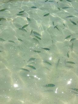 Phuket beach, JPG