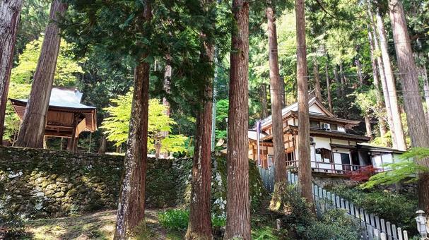 三徳山本坊三佛寺 三徳山本坊三佛寺の写真
