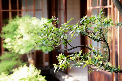 和室のある風景フリー無料素材画像 和室のある風景フリー無料素材画像 日本家屋,家,日本庭園の写真素材