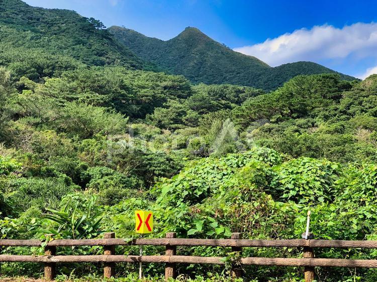 石垣島の道路沿いの山々の風景 屋外で,山,旅の写真素材