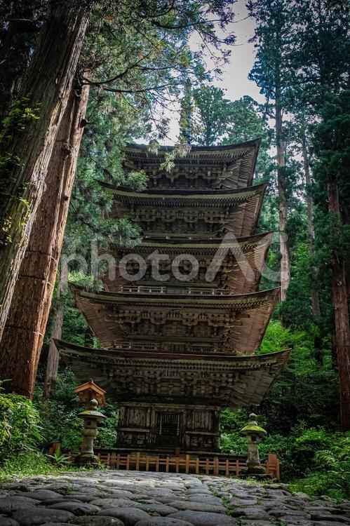 山形県　羽黒山五重塔 風景,草木,草の写真素材