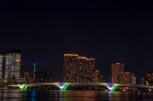 豊洲大橋と街並みの夜景 豊洲大橋と街並みの夜景の写真