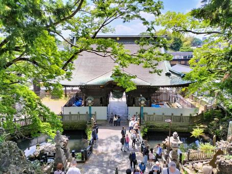 成田山新勝寺 階段から見下ろす仁王門 成田山新勝寺 階段から見下ろす仁王門 成田山,新勝寺,仁王門の写真素材