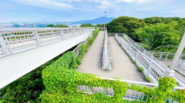 高塔山公園の園内風景 高塔山公園,若松区,北九州の写真素材