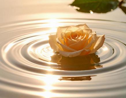 A symphony of sparkling light on the dancing summer water surface, water surface, summer, glitter, JPG