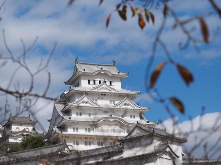 姫路城（白鷺城） お城,姫路城,白鷺城の写真素材
