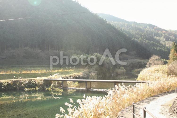 田舎風景 田舎,川,秋の写真素材