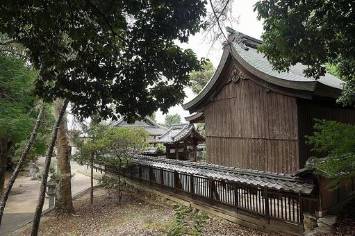 パワースポット 滋賀県 蜊江神社㉔ 本殿 パワースポット 滋賀県 蜊江神社㉔ 本殿の写真