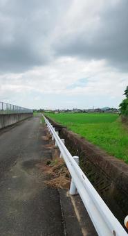 田んぼ 田んぼの写真