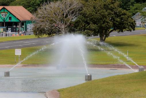 噴水と緑の公園 噴水,公園,自然の写真素材