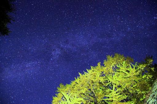 イチョウの紅葉と星空・天の川 星空,夜空,イチョウの写真素材