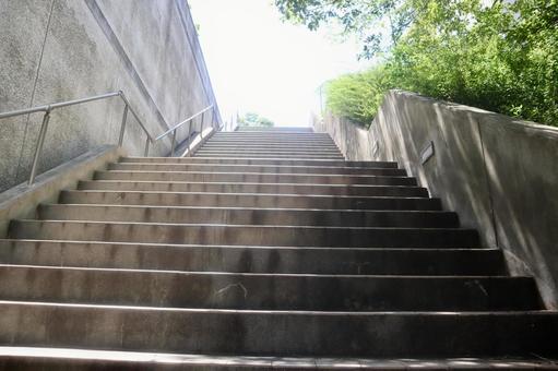 Photo, aims, challenging, step up, 