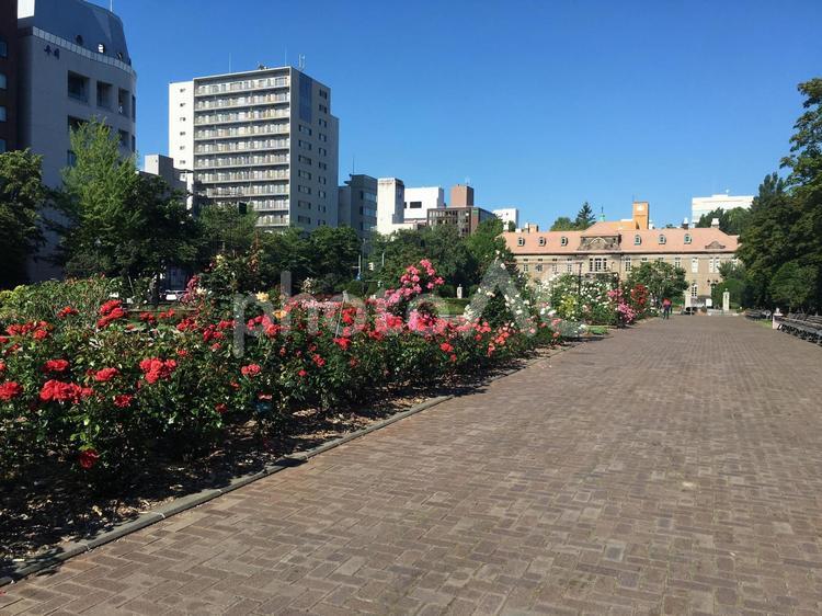 札幌大通り公園 札幌資料館 いこい,いやし,さわやかの写真素材