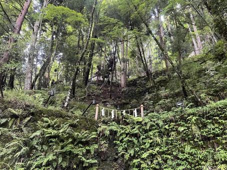 貴船神社 貴船,神社,京都の写真素材