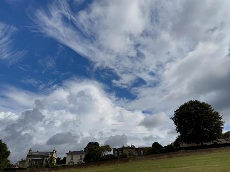 青空と草原 青空,雲,白い雲の写真素材