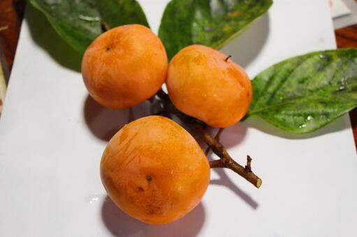 柿の実 柿,果物,食べ物の写真素材