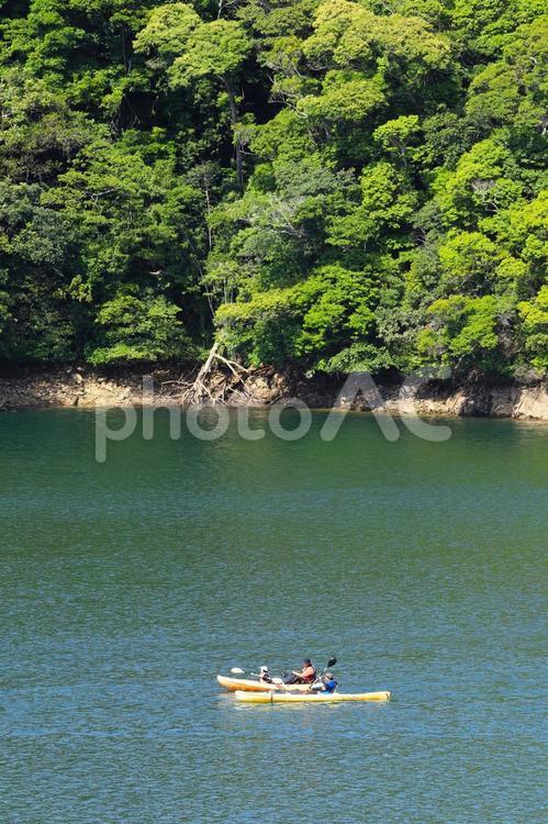 湖面を滑るカヌー　福地ダム　沖縄県東村 湖,湖面,ダム湖の写真素材