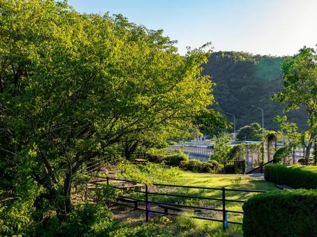 日曜日 田舎,リラックス,緑の写真素材