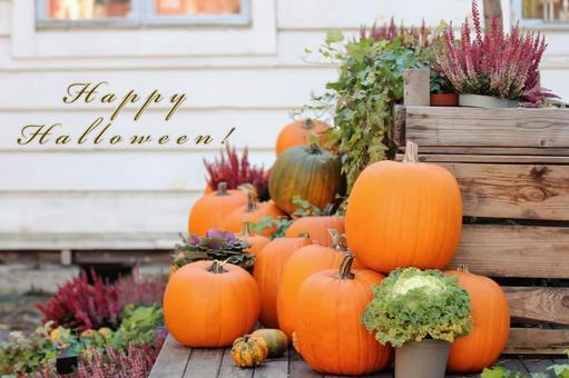 happyhalloweenメッセージ happyhalloweenメッセージ ハロウィン,かぼちゃ,メッセージの写真素材