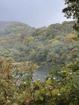 牛伏寺砂防ダムのダム湖 牛伏寺,砂防ダム,松本市の写真素材