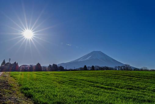 富士山と牧場 富士山と牧場 富士山,冠雪,牧場の写真素材