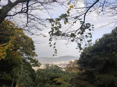 山から見た町 街,山,木の写真素材