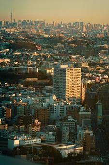 夕暮れの横浜高層住宅街 高層マンション,住宅,都市の写真素材