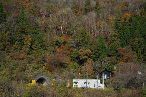 紅葉とトンネルの写真