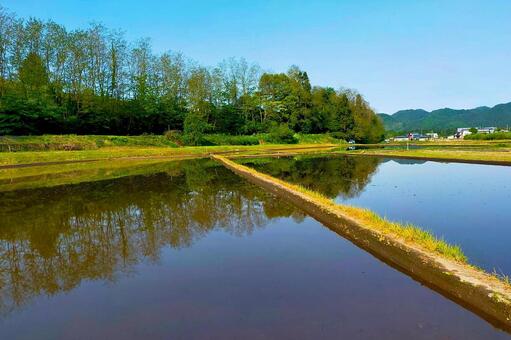 2026年5月の里山53 水田,田んぼ,水張りの写真素材