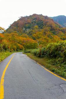 紅葉 山 秋 道路 紅葉 山 秋 道路の写真