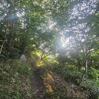 舗装された山道を登る2 舗装された山道を登る2の写真