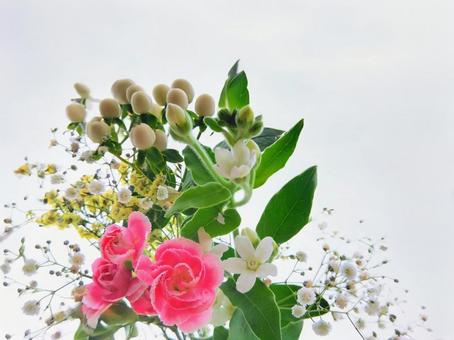 やさしい気持ちFlowerメッセージ やさしい気持ちFlowerメッセージ カーネーション,プレゼント,フラワーアレンジメントの写真素材