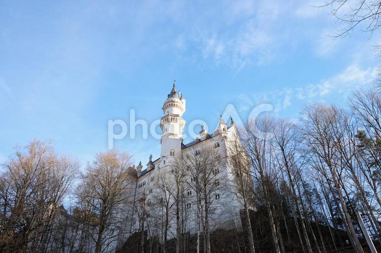 ノイシュヴァンシュタイン城3 12月,castle,おとぎ話の写真素材