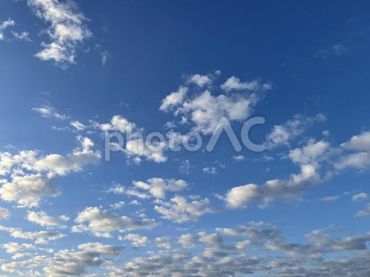 ちぎれ曇 空,自然,秋の写真素材