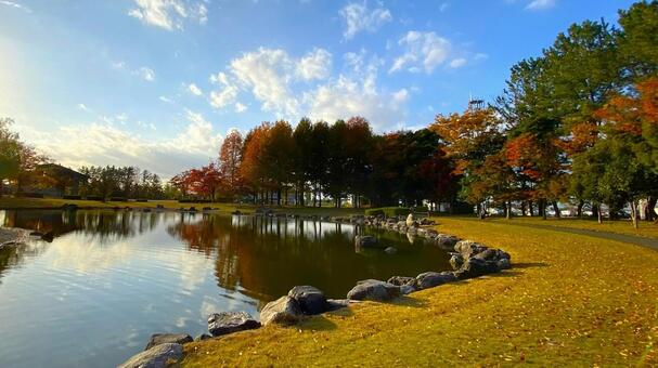 紅葉の北部公園（金沢） 紅葉,秋,公園の写真素材