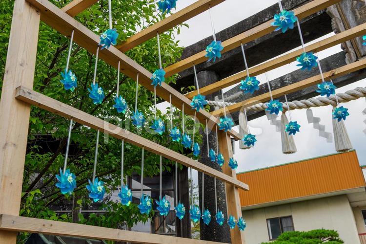 仙台八坂神社⑸ 神社,仙台八坂神社,神社仏閣の写真素材