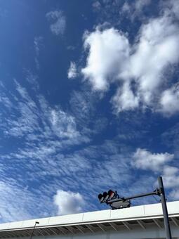 都営交通と夏の終わり 日暮里舎人ライナー,日暮里・舎人ライナー,東京都交通局の写真素材